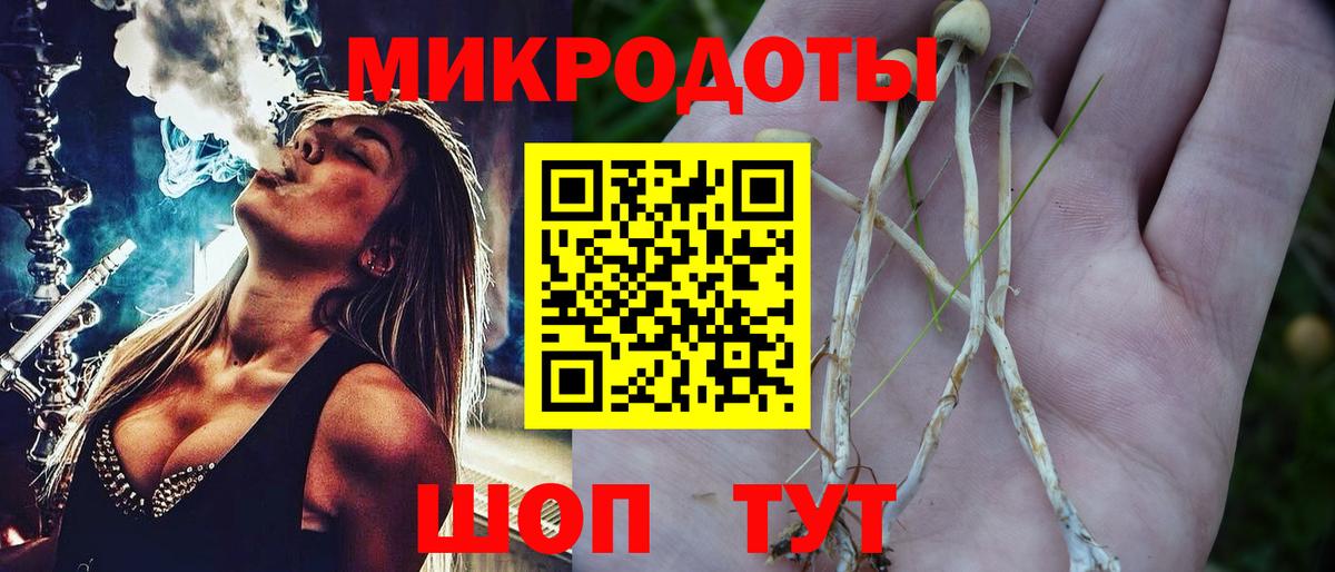 Советский  Галлюциногенные грибы прущие грибы  Галлюциногенные грибы мицелий  Вход с VPN 